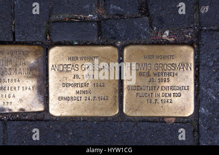 Allemagne, Cologne, Stolpersteine (pierres d'achoppement) par l'artiste Gunter Demnig. Les pierres de rendre hommage aux victimes du national-socialisme (nazisme). Banque D'Images