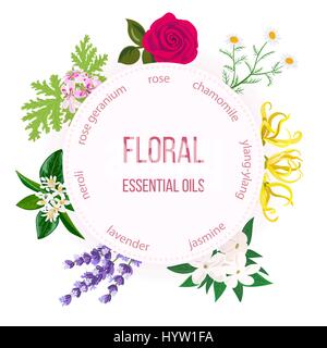 Les étiquettes d'huile essentielle. Rose, camomille, jasmin, ylang-ylang, Néroli ,, de lavande, de géranium. Emblème ronde. Pour les cosmétiques de soins de santé parfum pr Illustration de Vecteur