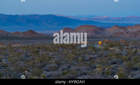 Une vue panoramique en début de soirée d'une route éloignée et panneau de route dans le parc national de Joshua Tree, Californie, États-Unis Banque D'Images