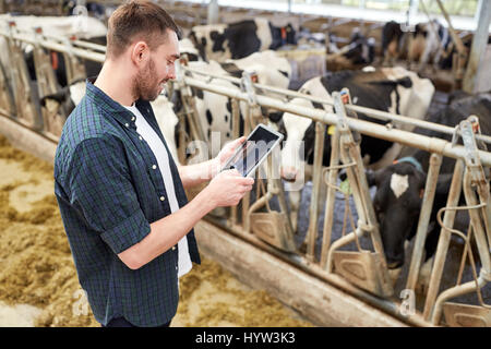 Jeune homme avec tablet pc et les vaches sur ferme laitière Banque D'Images