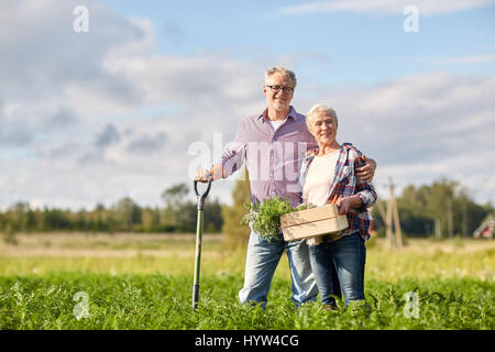 Couple avec pelle et les carottes on farm Banque D'Images