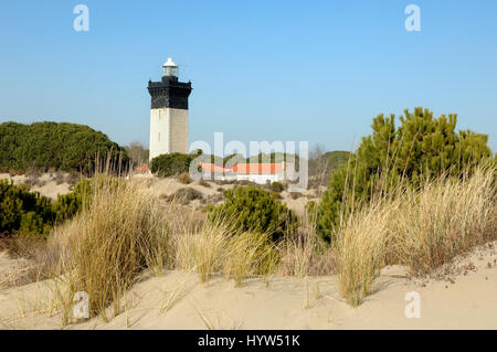 Plage de l'Espiguette ou Plage d'Espiguette et phare de Le Grau-du-Roi Camargue Gard France Banque D'Images