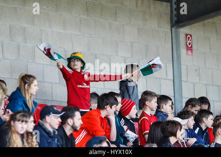 Ystrad Mynach, Pays de Galles, Royaume-Uni, 7 avril 2017 un jeune fan de Galles au cours de l'amicale internationale des femmes entre pays de Galles et en Irlande du Nord au centre de l'excellence sportive, Ystrad Mynach, au Pays de Galles. Credit : Glitch Images/Alamy Live News Banque D'Images