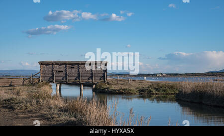 Cabane en bois pour les oiseaux dans la réserve naturelle Banque D'Images