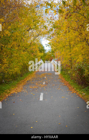 Au début de l'automne dans l'un des nombreux sentiers ou chemins dans la région de Fredericton Nouveau-Brunswick au Canada atlantique Banque D'Images