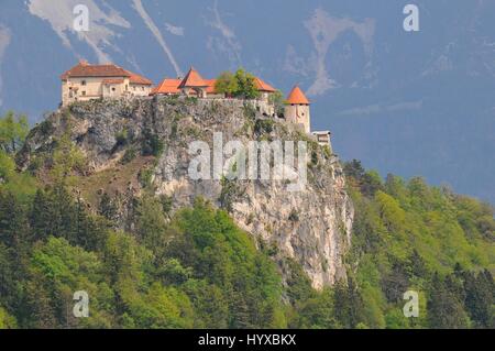 La Slovénie, Bled, le château château médiéval construit sur un surplomb au-dessus de la ville de Bled en Slovénie, surplombant le lac de Bled. Banque D'Images