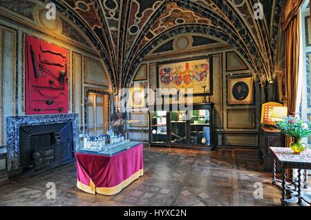 L'intérieur du Castel de Rigny-Usse connu comme le château de La Belle au Bois Dormant et construit au xie siècle. Vallée de la Loire France Banque D'Images