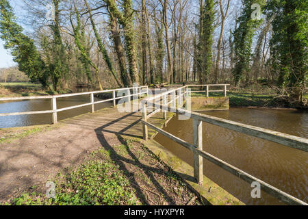 Aperçu de l'ancien pont de bois sur le ruisseau le Boven-Slinge près de Winterswijk dans l'Achterhoek au début du printemps dans les Pays-Bas Banque D'Images