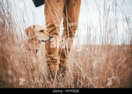 Randonneur et chien debout dans l'herbe haute Banque D'Images