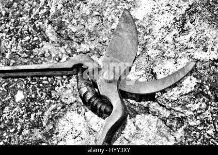Old rusty cisailles s'appuyant sur un vieux mur Banque D'Images