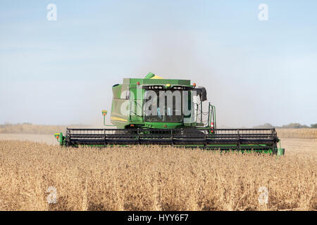2013 La récolte du soja dans le sud-est de l'Iowa. Banque D'Images