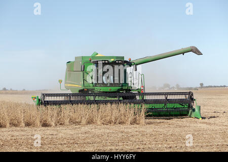 2013 La récolte du soja dans le sud-est de l'Iowa. Banque D'Images