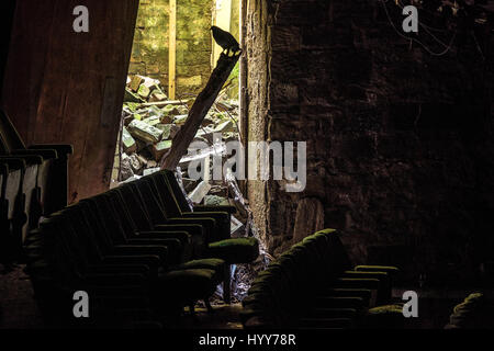 BURNLEY, UK : Spooky images ont révélé les ruines d'un théâtre de l'époque victorienne où le public britannique étonne Houdini légendaire. La série de photographies obsédantes du théâtre qui a été abandonné pendant 20 ans, voir les rangées de sièges criblée avec de la mousse et la moisissure, de la lumière de passer par l'effondrement des plafonds et d'écaillage de la peinture à l'écart de la scène et des murs. Une photo prise de la scène montre un auditoire vide et rempli de débris au sol. La hantise des coups de feu ont été prises à l'Empire Theatre à Burnley, Lancashire photographe amateur par Mark Smith. De prendre ses photos, Mark-nous Banque D'Images