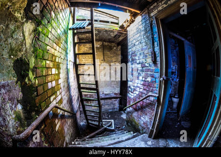 BURNLEY, UK : Spooky images ont révélé les ruines d'un théâtre de l'époque victorienne où le public britannique étonne Houdini légendaire. La série de photographies obsédantes du théâtre qui a été abandonné pendant 20 ans, voir les rangées de sièges criblée avec de la mousse et la moisissure, de la lumière de passer par l'effondrement des plafonds et d'écaillage de la peinture à l'écart de la scène et des murs. Une photo prise de la scène montre un auditoire vide et rempli de débris au sol. La hantise des coups de feu ont été prises à l'Empire Theatre à Burnley, Lancashire photographe amateur par Mark Smith. De prendre ses photos, Mark-nous Banque D'Images