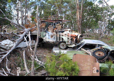 DERWENT VALLEY, AUSTRALIE : comme une scène du monde post-apocalyptique dans Mad Max de ces véhicules de rouille ont été laissés à pourrir dans le bush australien. La vidéo surréaliste et les images montrent des centaines de vieilles voitures, camionnettes et camions empilées les unes sur les autres au milieu de nulle part comme une scène d'un film post-apocalyptique. D'autres plans montrent comment les véhicules ont été laissés éparpillés à travers ce qui était autrefois une ancienne route, bloquant totalement hors tension. Les images incroyables, et des images ont été prises à la vallée de la Derwent, en Tasmanie par écrivain Angus Thornett (35) à partir de Hobart. Banque D'Images