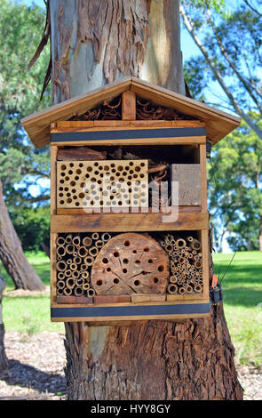 Hôtel de l'Abeille attaché à un arbre dans un parc australien. Zone de nidification construit en bois et matières naturelles pour attirer les abeilles indigènes solitaires aux jardins Banque D'Images