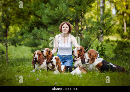 BASSETT hounds s'avèrent une fois de plus combien cette race hilarant de chiens peut être qu'ils tirent les expressions les plus drôles tout en courant vers leurs propriétaires. Les photos montrent le fractionnement du Basset Hounds tirant toutes sortes de grimaces que leur peau droopy lutte pour suivre le reste de leur corps. D'autres plans montrent le chien jouant fetch et combats avec l'autre dans leur peau essaie de leur enveloppe. Les images ont été capturées par le photographe russe Ksenia Raykova puisqu'elle a pris les chiens pour certains jeux dans une forêt locale. Banque D'Images