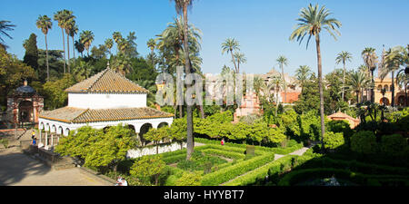 Séville. Andalousie, espagne. Les jardins de l'Alcazar de Séville, dans le centre de Séville. Banque D'Images