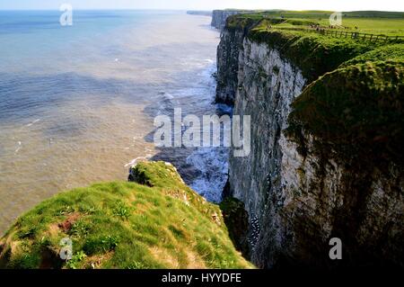 Falaises de Bempton et Flamborough Heritage Coast. Banque D'Images