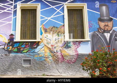 Murales colorées qui décorent les murs des bâtiments dans le Cerro Polanco zone du port historique de la ville de Valparaiso au Chili. Banque D'Images