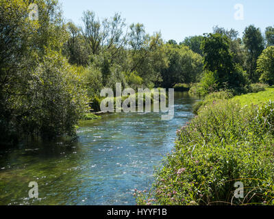 La rivière qui coule à travers la campagne Itchen sur une chaude journée d'été, Banque D'Images