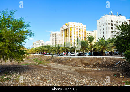 Gratte-ciels dans la ville parmi les arbres de date Banque D'Images