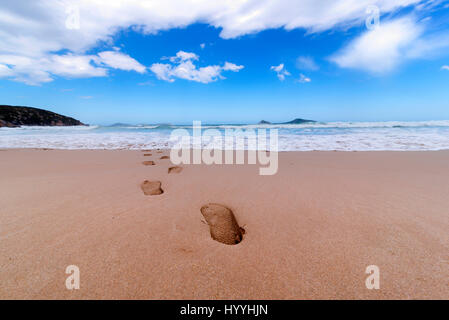 Un portrait d'une plage de sable avec des empreintes de pieds menant vers les vagues avec un ciel bleu menant vers l'horizon. Ici, dans l'horizon. Banque D'Images