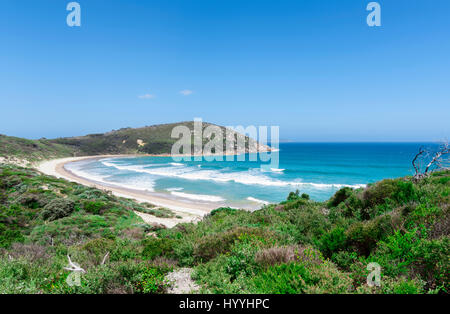 Une vue magnifique sur le bleu de l'océan au loin avec les vagues blanches dans le matériel roulant vers une plage de sable blanc avec une petite zone forestière. Banque D'Images