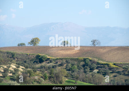 Dans les collines et la campagne de la région Calabre en Italie (Parc National de Sila) Banque D'Images