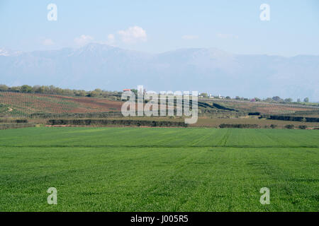 Dans les collines et la campagne de la région Calabre en Italie (Parc National de Sila) Banque D'Images