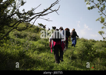 Senior citizen randonnée dans le maquis et gravir une pente de colline verte. Par Ein Hashofet, la Menashe Heights, l'extrémité sud du Mont Carmel, en Israël. Banque D'Images