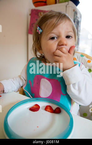 Une fille toddler eating strawberries avec enthousiasme à une table. Elle est l'alimentation elle-même à l'aide de mains. Son âge est de 16 mois. Banque D'Images