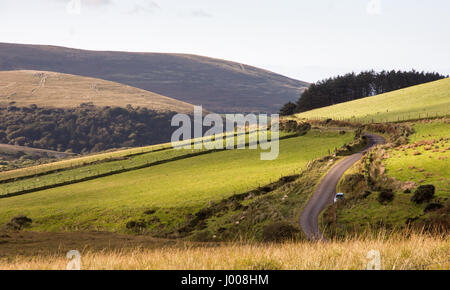 Un col étroit mène sur les pentes de la montagne, par Caherconree les pâturages forestiers et sur la péninsule de Dingle en Irlande du comté de Kerry. Banque D'Images