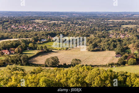 Une mosaïque de champs et de bois dans le paysage rural du Sussex, vu de Ditchling Beacon Hill sur les pentes abruptes des South Downs. Banque D'Images