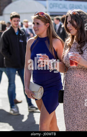 Santé Randox Grand National, Liverpool, Merseyside. 8 avril 2017. La mode pour à la santé Randox Grand National à Aintree hippodrome à Liverpool, Merseyside. Le plus célèbre événement dans le calendrier des courses de chevaux accueille des gens sur ce défilé très spécial de la plus belle femme de la mode. Des milliers de femmes séduisantes pour l'intermédiaire de l'entrée sur le seul et unique "Grand National". Jusqu'à 90 000 visiteurs sont attendus à la spectaculaire course de chasse National. Credit : Cernan Elias/Alamy Live News Banque D'Images