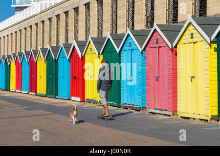 , Boscombe Bournemouth, Dorset, UK. 8Th apr 2017. Météo France : belle chaude journée ensoleillée comme visiteurs chef de la mer à profiter du soleil sur les plages de Bournemouth. L'homme marche sur planche promenade chien le long cours des cabines colorées à Boscombe. Credit : Carolyn Jenkins/Alamy Live News Banque D'Images