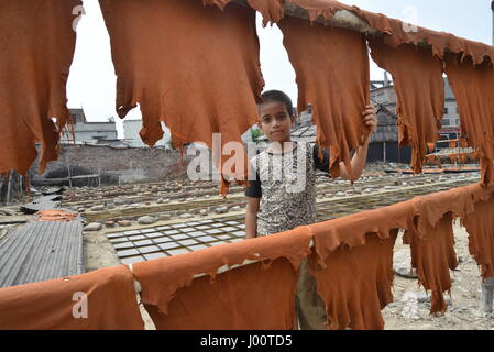 Dhaka, Bangladesh. Le 08 Avr, 2017. Un enfant travailleur bangladais dries morceaux de cuir traité à une tannerie à Dhaka le 8 avril 2017. Un travail du cuir historique trimestre au Bangladesh une fois étiqueté parmi les plus polluées de la planète a été fermée par ordre de la Cour le 6 avril dans un jugement historique pour protéger une voie navigable vitale. Les écologistes se battent depuis des années pour fermer le siècle-ancienne tannerie district dans la capitale, Dhaka, qui pompe des milliers de litres de déchets toxiques directement dans la ville la plus importante rivière sur une base quotidienne. Mamunur Rashid/crédit : Alamy Live News Banque D'Images