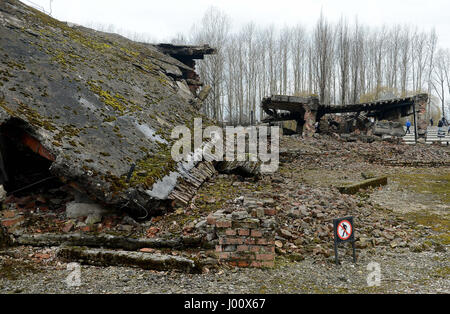 Oswiecim, Pologne. Mar 20, 2017. 20170320 - Les ruines de crématorium 2 dans l'ancien camp de la mort de Birkenau en Pologne est vue ici. Les Nazis ont détruit le bâtiment avant la libération du camp par les forces soviétiques en janvier 1945. Credit : Chuck Myers/ZUMA/Alamy Fil Live News Banque D'Images