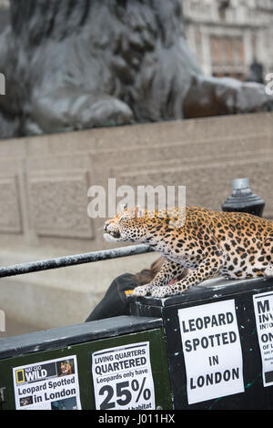 Nat Geo WILD dévoile le premier leopard animatronic hyper réaliste pour marquer le lancement de Big Cat Semaine (6-12 mars), en association avec la charité la Big cats Initiative. Comprend : Leopard Où : London, Royaume-Uni Quand : 08 Mars 2017 Banque D'Images