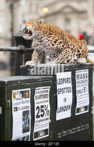 Nat Geo WILD dévoile le premier leopard animatronic hyper réaliste pour marquer le lancement de Big Cat Semaine (6-12 mars), en association avec la charité la Big cats Initiative. Comprend : Leopard Où : London, Royaume-Uni Quand : 08 Mars 2017 Banque D'Images