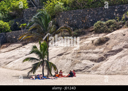 Sur le sable à l'ombre sous un palmier un groupe de personnes est au repos Banque D'Images