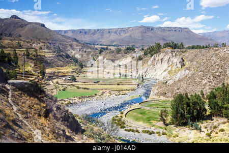 Paysage aride, pré-inca et inca Inca terrasses, vallée du Colca Rio Colca Lodge, hôtel, Canyon de Colca, Yanque, Caylloma Province, Région d'Arequipa, Pérou Banque D'Images