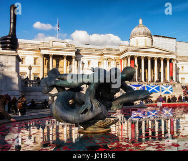 Londres, Royaume-Uni, 11 novembre 2016. Coquelicots et couronnes rouge flottent dans les fontaines de Trafalgar square en face de la galerie nationale le jour de l'Armistice. Banque D'Images