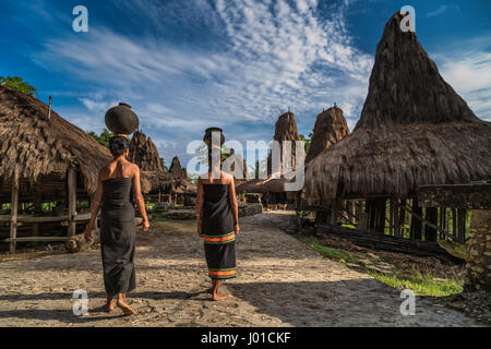 Les femmes de la tribu Loli portant de l'eau de la rivière pour leur village dans l'ouest de Sumba, à l'Est de Nusa Tenggara, en Indonésie Banque D'Images