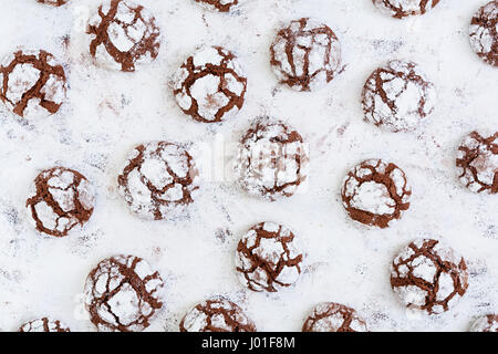 Les cookies au chocolat sur fond blanc. Vue d'en haut Banque D'Images