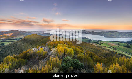 Vue depuis le mont Cargill avec Dunedin Otago Harbour et péninsule d'Otago, Dunedin, Otago, Coucher du Soleil, Southland, Nouvelle-Zélande Banque D'Images