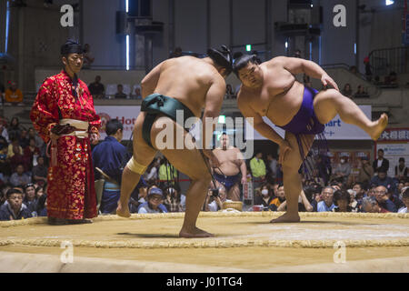 Tournoi de sumo tenu à Okinawa, au Japon. Banque D'Images