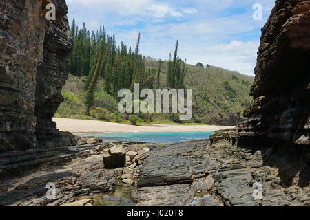 Paysage côtier en Nouvelle Calédonie, plage, rochers et pins endémiques dans la baie aux Tortues, Bourail, Grande Terre, l'île du Pacifique sud Banque D'Images