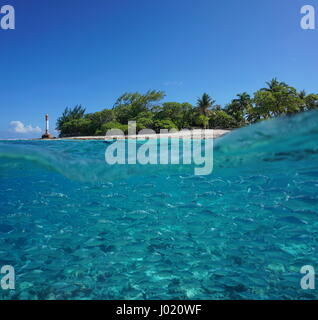 Sur et sous la surface de la mer, rive île tropicale avec un banc de poissons (plain flagtail) sous l'eau, de Tiputa de atoll de Rangiroa, Tuamotu, Français Po Banque D'Images