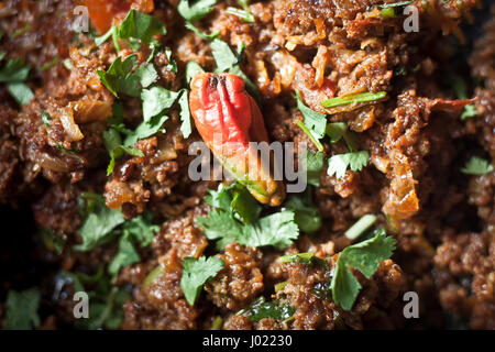 Kheema Mouton délicieux. Banque D'Images